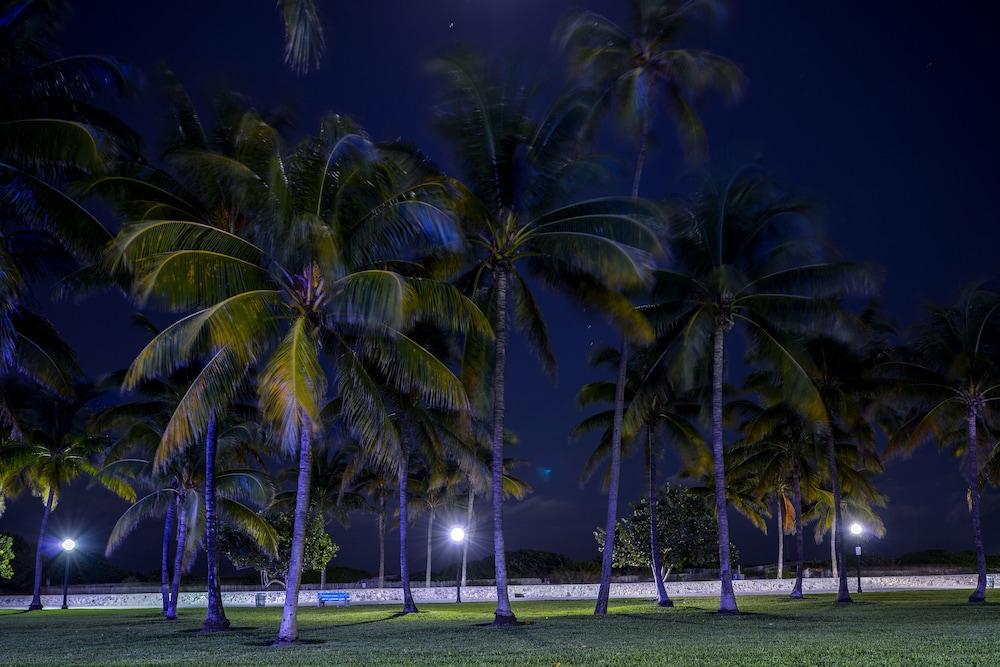 Hilton Vacation Club Crescent On South Beach Miami Miami Beach Ngoại thất bức ảnh
